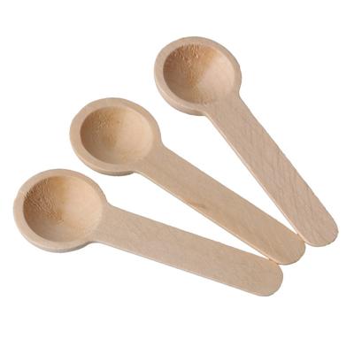 10 Stück Mini-Holzlöffel, Küchengewürzlöffel, kleine kurze Gewürzlöffel