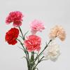 Artificial Carnation Realistic Fake Silk Flower Stem Wedding Party Indoor Outdoor Faux Flower Decoration Mother's Day Teachers' Day Gift