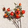 Realistic Artificial Pomegranate Branches 5-Fruit Fake Plants  Wedding Party Decor