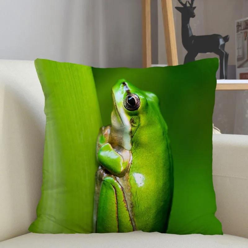 Frog Animal Pillowcase Home Decor Zipper Square  Throw  Drop Shipping