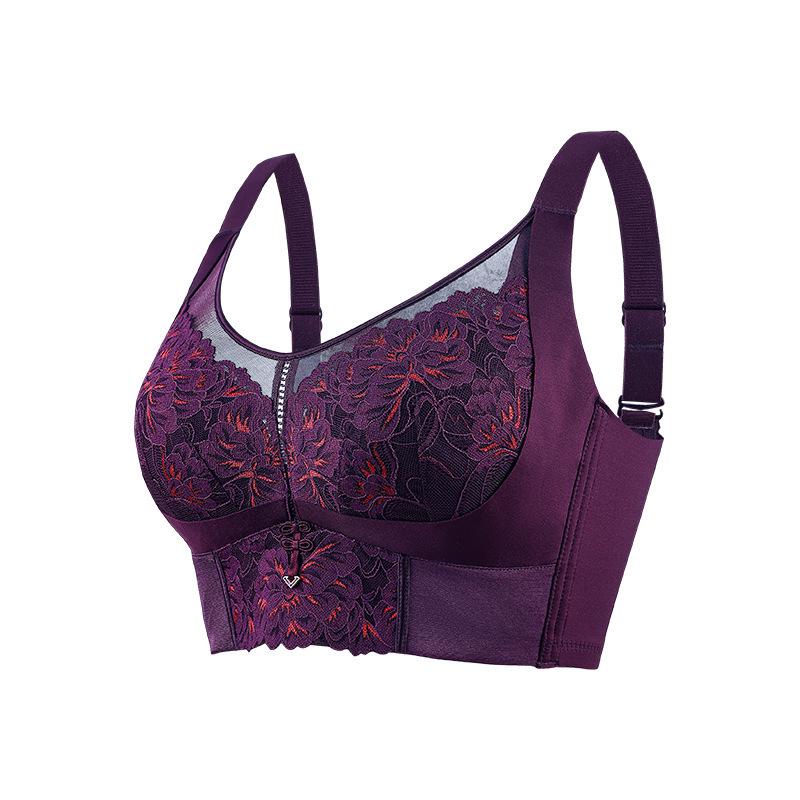 

Adjustable Full Coverage Lace Mesh Bra for Large Busts with Side Support XL 38/85CDE [115-130 lbs]