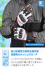 Daytona L size Motorcycle Mesh Leather Carbon Smartphone Sport Mesh Gloves Size 15974 Gloves, Summer, (Goat Leather), Protector, Compatible, HBG-053,