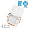 Coleman Cooler 16QT Keeps Contents Cool for About 1 Ideal for Outdoor Sports Cherry Blossom Club Strong Heat Excursion® / (Orange) Approx. 14L, Day,