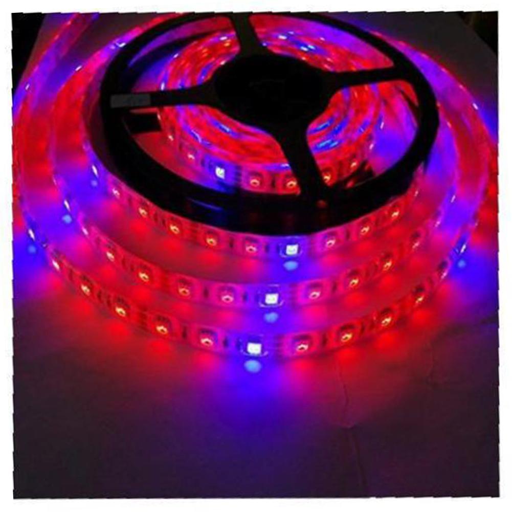 

5M 12V LED Plant Grow Strip Light Full Spectrum Creative Rope Light for Vegetable Cultivation Horticulture Industrial Seedling 5 meters non waterproof#0