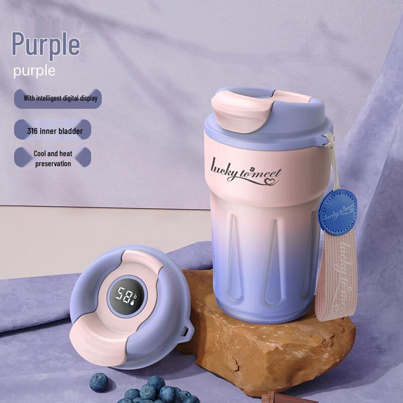 MRSIKEY Portable Stainless Steel Dual-Drink Insulated Bottle