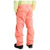 Burton Reserve 2L Pants