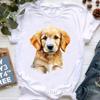 Golden Retriever Hunting Dogs Animal Print T Shirt For Girls Australian Shepherd Dog With Flower Tshirt Unisex Harajuku Shirt