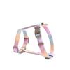 Adjustable Pet Cat Gradual Change Color Leash Set Small Dog Dog Rope Dog I-shaped Chest Strap