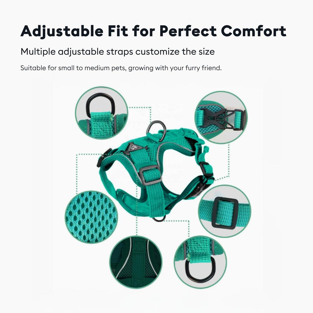Luxury & Lovely Reflective Dog Accessories Soft Adjustable Harness Vest with Durable Leash for Dogs
