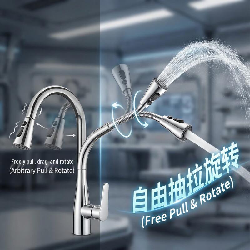 Kitchen Faucet with Pull-Out Sprayer