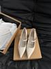 French pointed silver Mary Jane small leather shoes women's shoes 2025 spring with skirt medium and high heel design single shoes