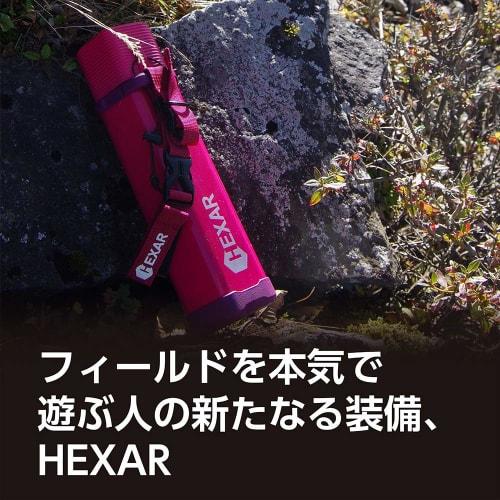HEXAR Stainless Steel Bottle, 600ml, Rose Red, Doshisha