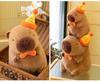Plush Toy Capybara Plush Toy Party Party Cuddly Toy 25 Cm