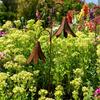 Dual Bells Garden Stake Rustic Wind Chime Yard Art Outdoor Iron Wind Bell Stake for Lawn Yard Patio Garden Pathway Decor