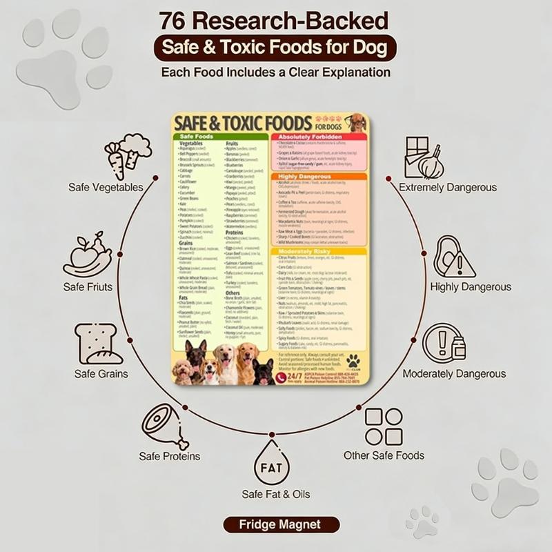 Educational Dogs Food Safety Magnetic Poster Dogs Feeding Safety Magnet For Responsible Pet Caregivers