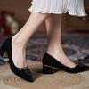Black Fashion Single Shoes Women's Pointed Head Thick Heel 2025 Autumn New Temperament Mother High Heels Retro Socialite Style Shoes