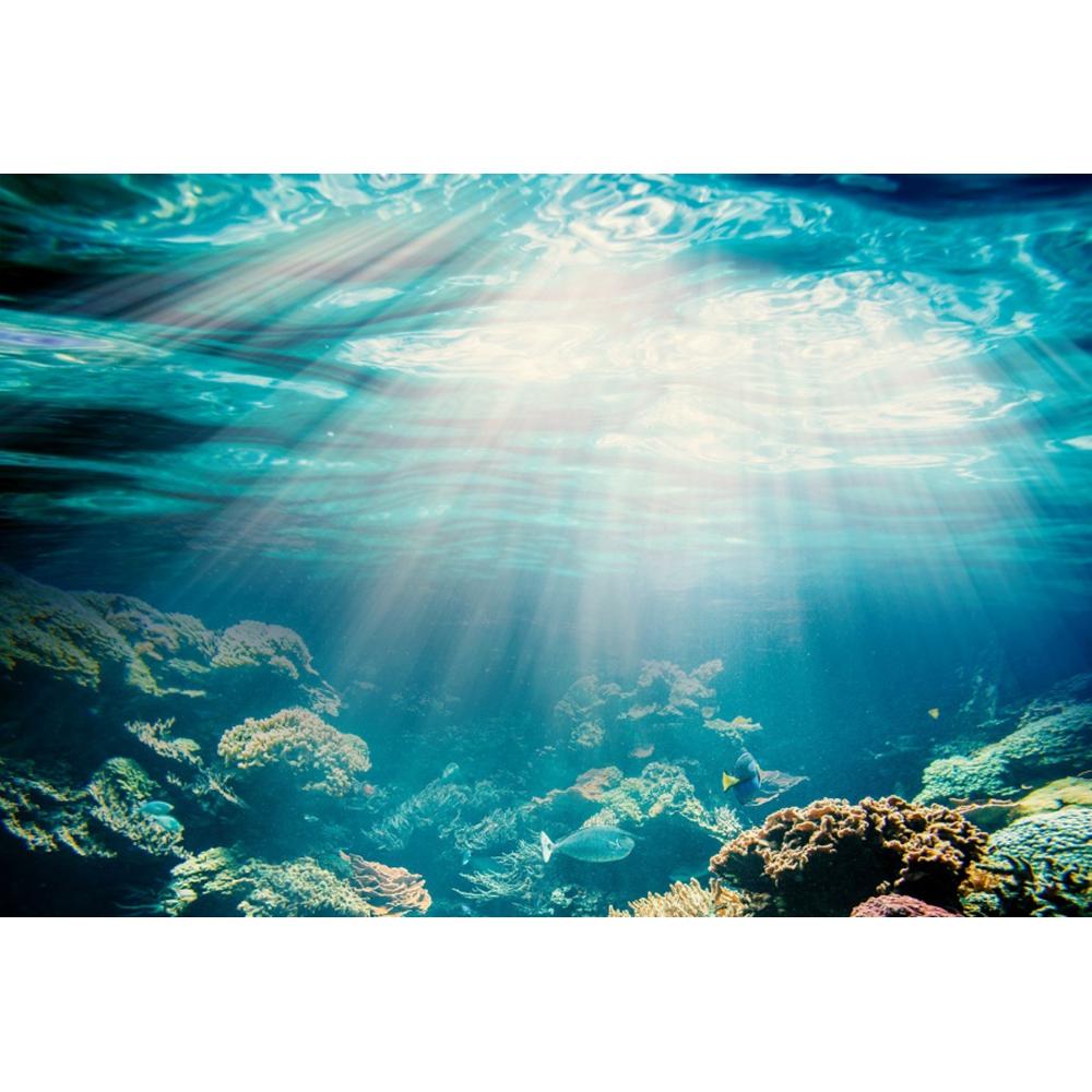Underwater World Backgrounds for Photographs Ocean Fish Coral Fish Tank Decor Aquarium Scene Portrait Backdrop Shooting Props