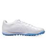 Li Ning Jin Series Mid-Range Turf Football Shoes Men Football Shoes YSTT023-4