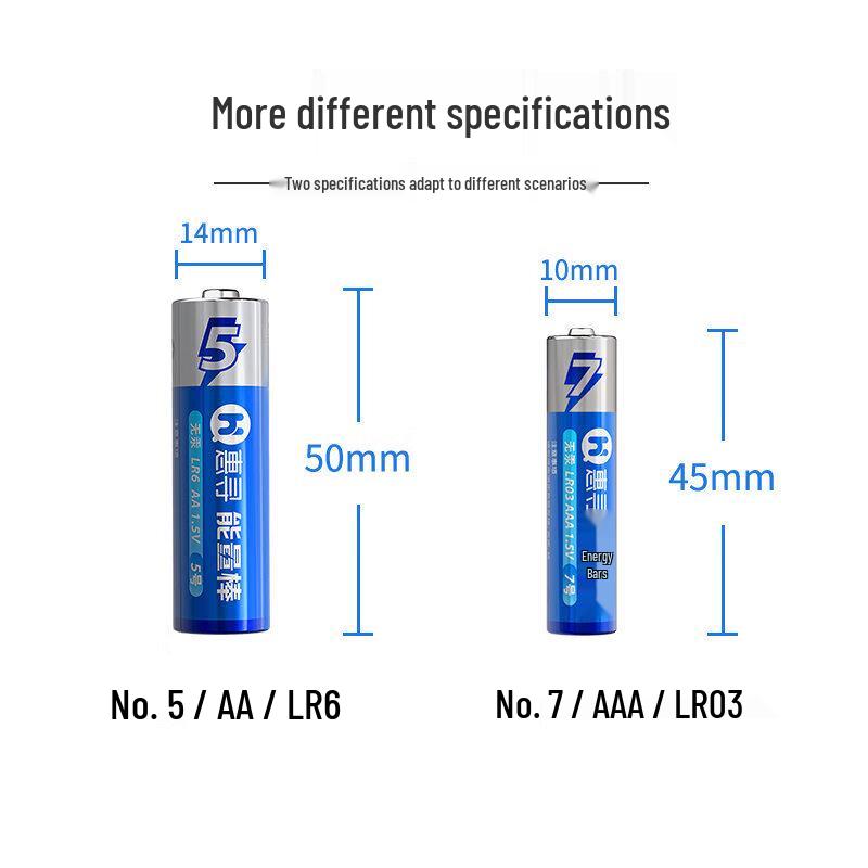 Huixun JD AAA Alkaline Batteries (2-Pack) CN Plug (adapter Included)