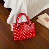 Fashion Polka Dot Small Square Crossbody Bag For Women Casual Daily Commute Shoulder Bag