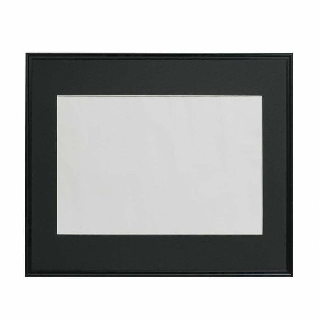 Fujicolor picture wide mat A3300 306945 frame, frame, (A3+ size),