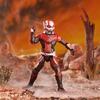 Avengers Series Marvel Legends Action and the 5.0 6-inch Figure/Ant-Man (Ant-Man Wasp)