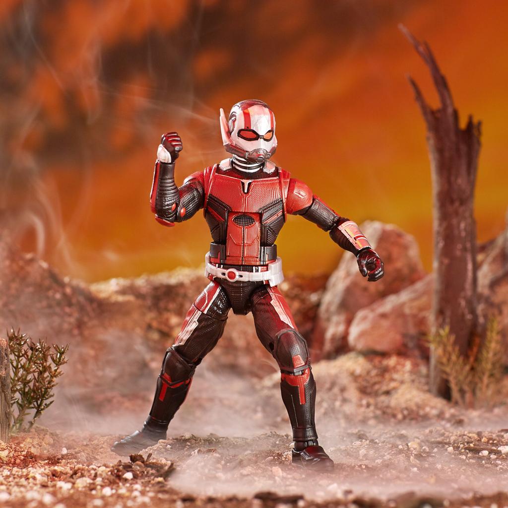 Avengers Series Marvel Legends Action and the 5.0 6-inch Figure/Ant-Man (Ant-Man Wasp)