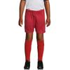 SOLS Childrens/Kids San Siro 2 Shorts