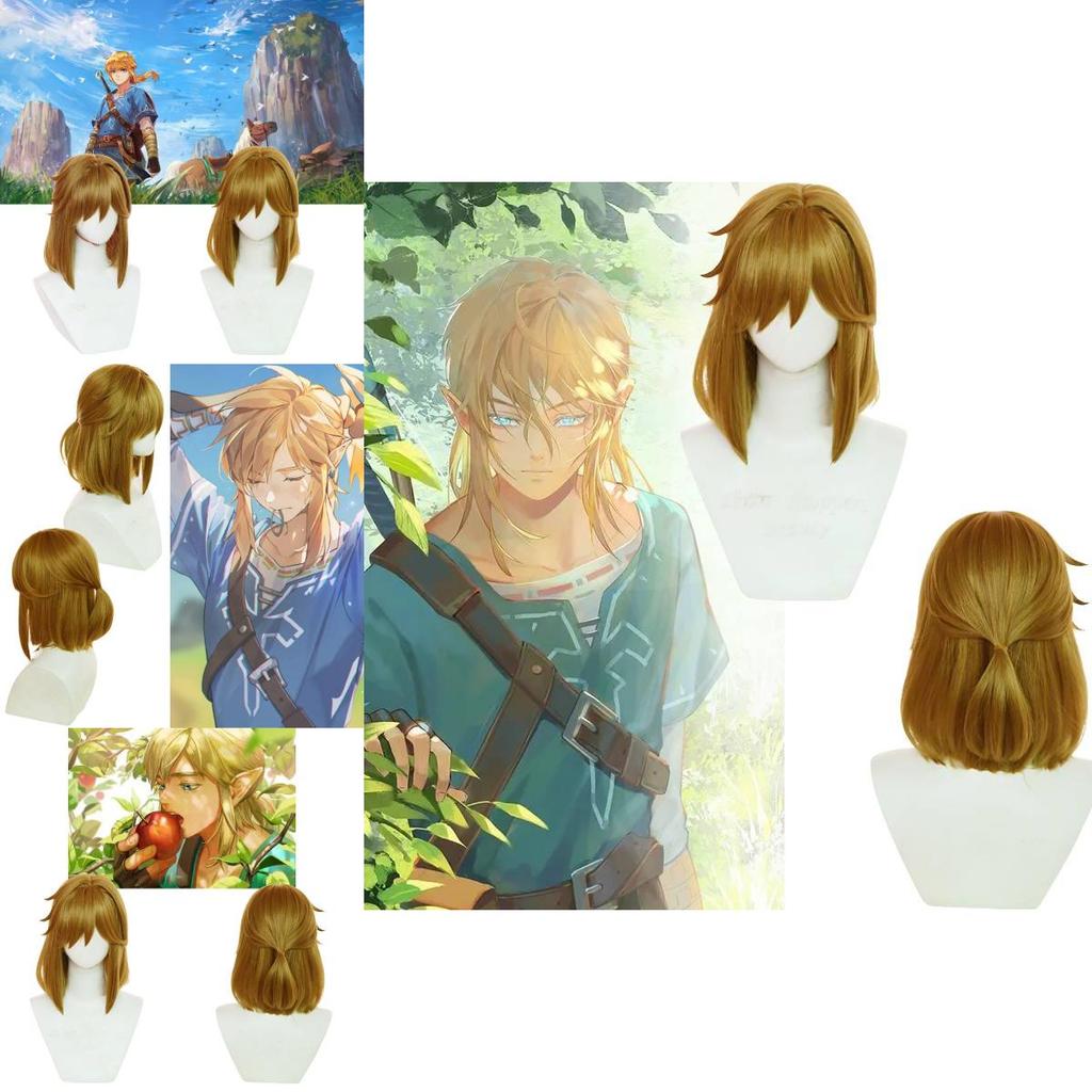 Breath Of The Wild Link Cosplay Wig With Realistic Scalp