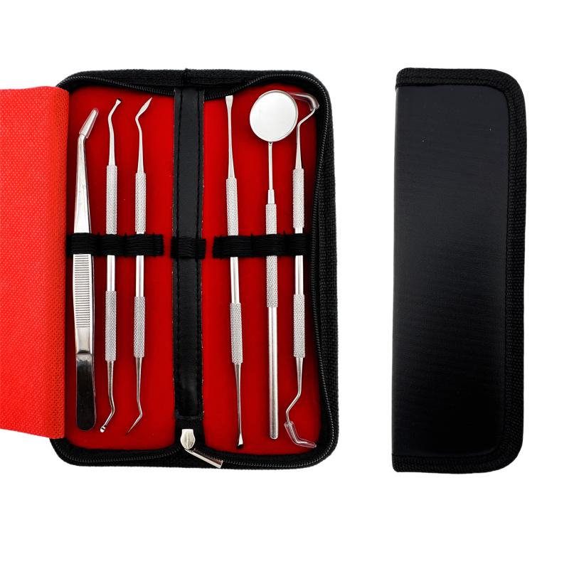 Stainless Steel Dental Tool Set: Endoscope, Toothpick, Calculus & Plaque Remover