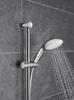 2842220J GROHE Tempesta 100 Hand Shower, Dual (Authorized GROHE Online Store, Compliant with Japanese Standards)