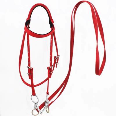 Standard Thread Plate Riding Bridle Reins Suitable for Horses and Ponies