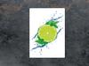 GLAS-SCHNEIDEBRETT 35x52 LIMETTE