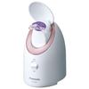 Dampfglätter Nano Care Compact Type Rosa EH-SA3A-P