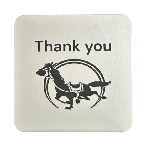 Sarasaty SARALIE T-Back Panty Liners, 20 Sheets (Set of 3) + Bonus Gift with Kunutonn Original Logo