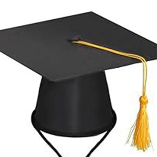 Yousheng 1 Set Lawn Goose Graduation Outfits Black Bachelor Hat Bowknot Tie Outdoor Yard Paty Goose Statue Decoration Dress-up Clothing Costume