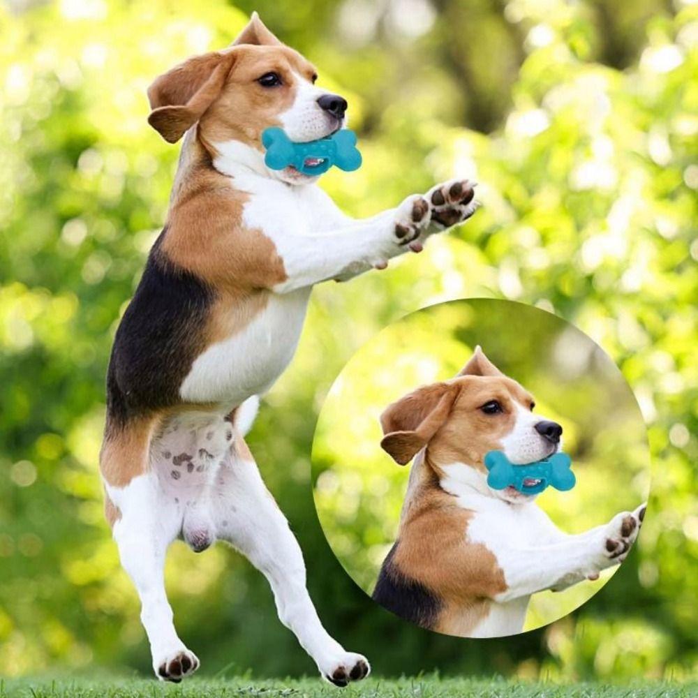 Wear-resistant Pet Chew Toy Interactive Pet Training Toy Pet Leaking Food Toy Beef Strips