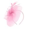 Chapéus e gorros – Fascinator