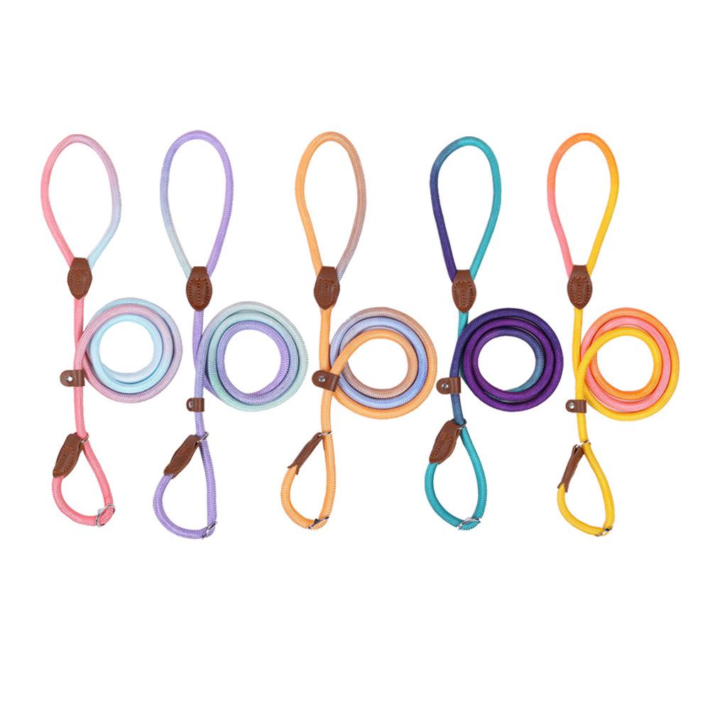 Manufacturer Punch Nylon Dog Collar Leash Set Luxury Style Colored Explosion-proof Feature Adjustable Durable Pet Gear