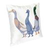 Runner Duck Trio Throw Cushion Pillow Cover Pillowcase Funny Duck Runner Ducks Indian Runner Duck Three Ducks Waterfowl Farm