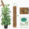 GROWNEER 4 Packs 24 Inch Plastic Moss Pole for Plants Monstera, Stackable Plant Support for Indoor Climbing Plants, Clear Plant Poles with 10FT