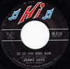 7inch Record JERRY JAYE  Let The Four Winds Blow  Singing T 452128 Hi Records 1967 US Rock Used