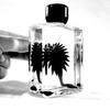 Ferrofluid Magnetic Fluid Liquid Display Funny Stress Relief Toys Science Decompression Anti Stress Toy