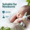 Himalaya Gentle Baby Shampoo 200ml Mild No Tears Formula Softens Nourishes Hair with Natural Proteins for Shiny Smooth Baby Locks
