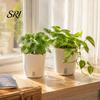 Small Planters for Hoya Cuttings Self Watering Plant Pots Indoor Plants, with Water Level Indicator, Clear Propagation Containers Carnivorous