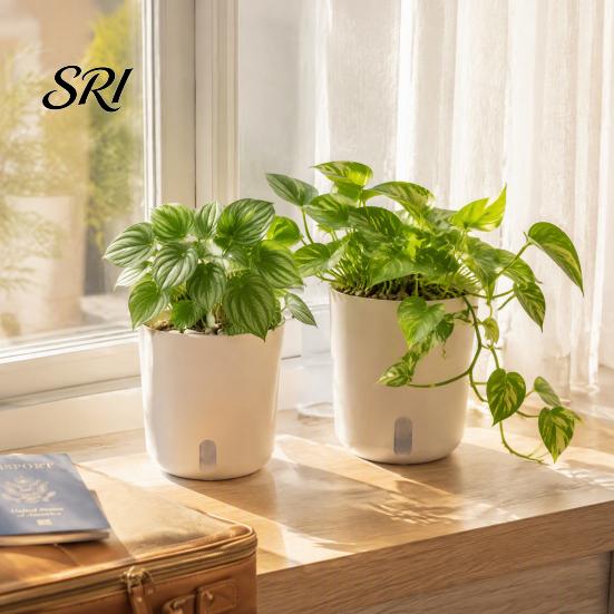Small Planters for Hoya Cuttings Self Watering Plant Pots Indoor Plants, with Water Level Indicator, Clear Propagation Containers Carnivorous