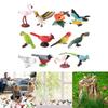 Realistic Bird Static Model Solid Figure Toy Animal Figurine Statue Fowl Figure Set Kids Collectible Toy Cake Toppers
