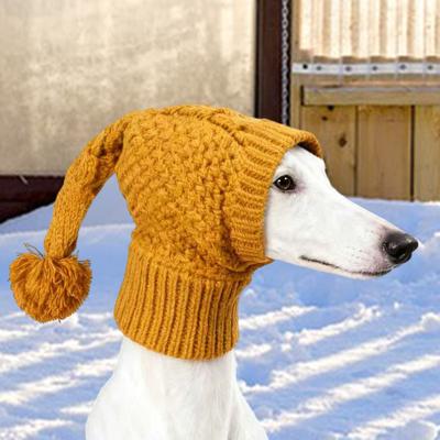 Ropa y calzado – Gorras para perros