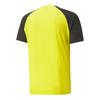 Puma Mens TeamPACER Colour Block T-Shirt
