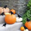 8Pcs/Pack Realistic Black Feathered Crow Artificial Crows Realistic Feathered Crow for Halloween Decoration